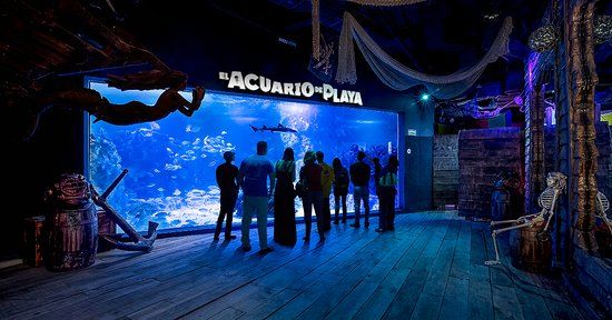 el Cenote Misterio Maya